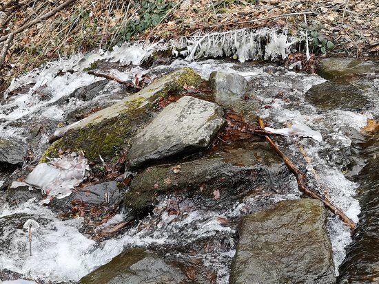 Rezerwat Przyrody Cicha Dolina